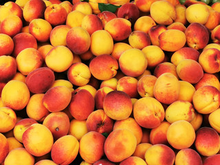 fresh apricots fruit texture