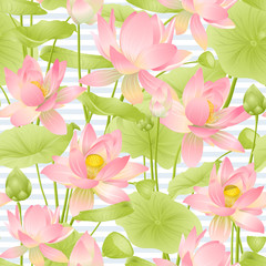 Lotus flowers seamless pattern. Vector illustration. On blue and white stripes background.