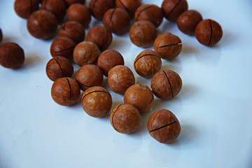 Unpeeled macadamia nuts laying on a white surface