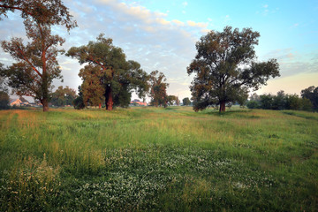 Obraz premium sunset on the river