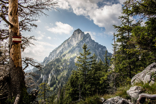 Austrian mountain Traunstein with trees and blue sky