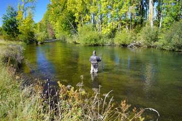 Fototapeta na wymiar fly fisherman in autumn and fast river