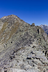 Swiss Aletsch Glacier in summer