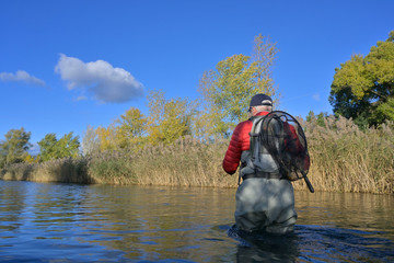 fly fisherman in autumn and fast river