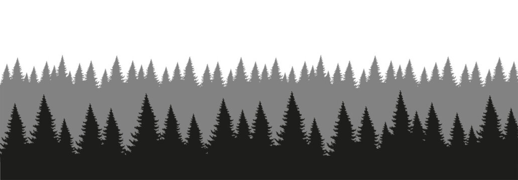 Coniferous forest silhouette. Forest background in aerial perspective. The design element of the park, forest, landscape. Flat vector illustration isolated on white background.