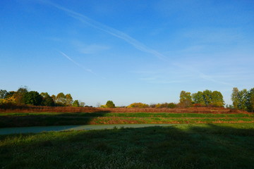 landscape with wheat field and blue sky
