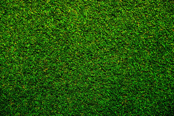 Fototapeta premium Full frame grass very green fresh.