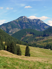 Fototapeta na wymiar Green mountains valley
