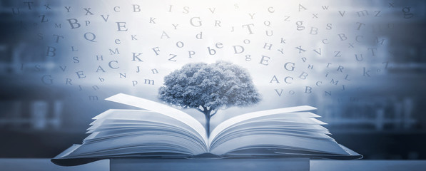 Books that are open on the table and the English alphabet float above the book. With a tree of wisdom growing on a beautiful book And the background of the bookshelf blurred
