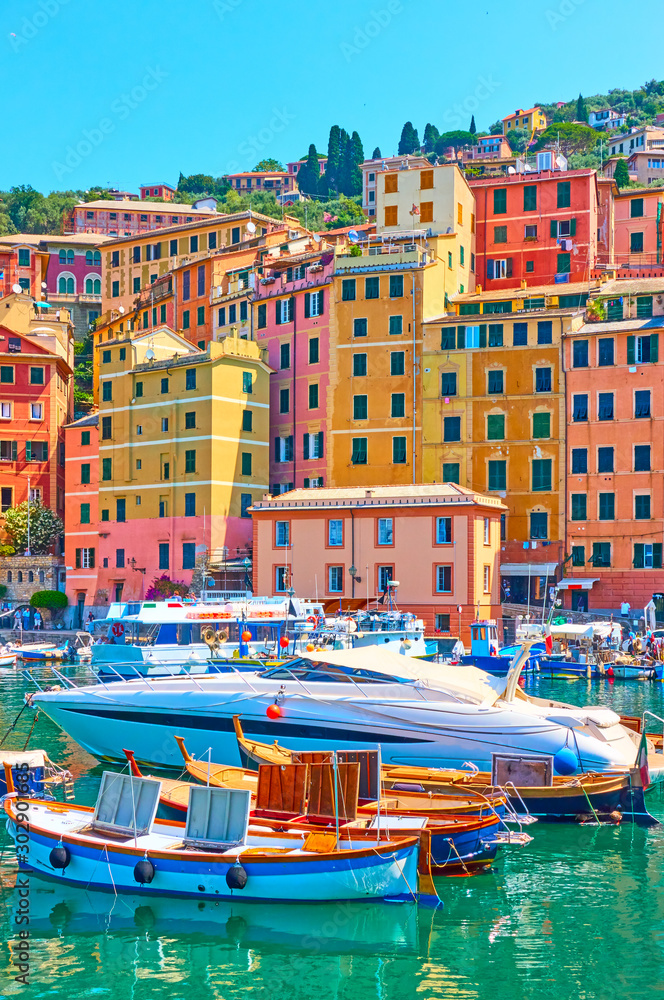 Wall mural Boats and yachts in the port of Camogli town