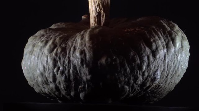 Pan Rotating Video Clip Footage ofa green pumpkin