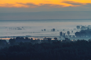 Mystic view on forest under haze at early morning. Mist among tree silhouettes under predawn sky. Gold light reflection in water. Calm morning atmospheric minimalistic landscape of majestic nature.