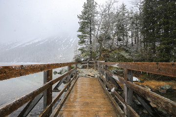 Wooden bridge in the winter forest
