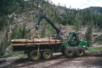 Forest log truck tree harvester working woodcutter, industry cut wood. the consequences of the weather, a windbreak in the mountains, damage to nature and the national park, Alpine Austria, Italy.