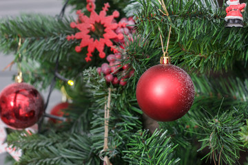 Red christmas ball on the christmas tree.