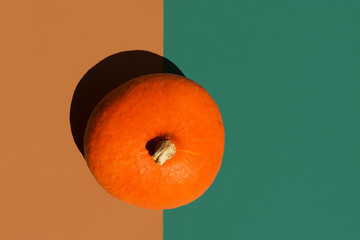 Bright orange pumpkin on duotone dark green brown background with hard shadows. Creative trendy pop art poster for Thanksgiving with copy space