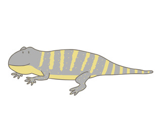  オルナータナイルモニター