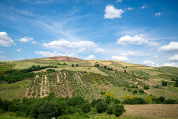 Obraz premium Italian landscape in spring in Basilicata region.