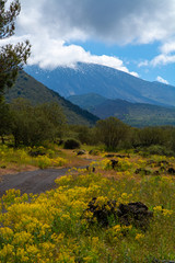 View on dangerous active stratovolcano Mount Etna on east coast of island Sicily, Italy