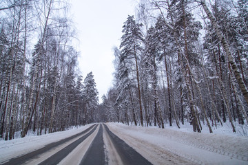 Asphalt road in the forest covered with snow