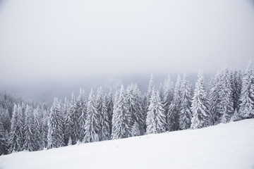 Beautiful winter mountain landscape. Winter landscape with fresh snow in a mountain forest