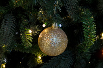 Colored christmas ball hung on a branch of a Christmas tree, Sofia, Bulgaria  