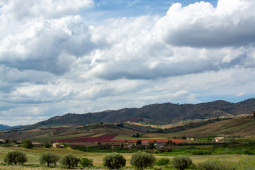 Landscape with pastures and wheat fields, Sicily, agriculture in Italy