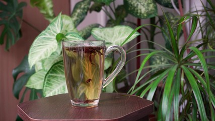 A glass of aromatic tea on a background of green plants. Tasty hot drink.