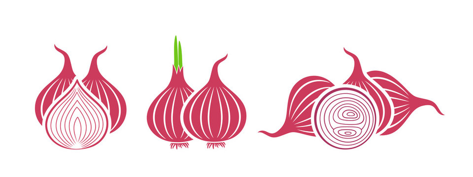 Discover more than 165 onion logo best