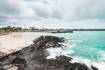 Fototapeta na wymiar Galapagos Islands Dream beach on the island of Isabela with turquoise-blue waters and Caribbean sand beach which is fringed with palm trees and black lava rocks, in the travel destination of Ecuador