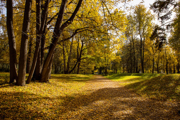 Landscape of Golden autumn in the Park where there are old oaks. Kuskovo, Moscow, Russia.