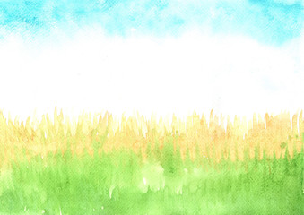 Obraz premium Dried grass filed with blue sky watercolor hand painting background.