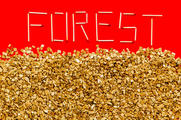 Fire concept with forest text and kindling on red background top view