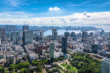 Fototapeta na wymiar Tokyo city skyline aerial view from Tokyo Tower, Japan