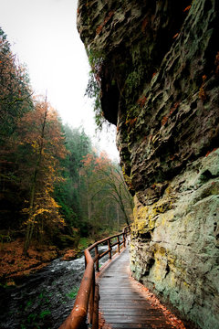 Trail track to the Wild gorge in CZ