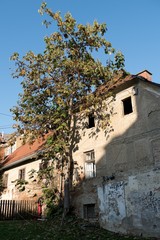 old house in the slovenian city