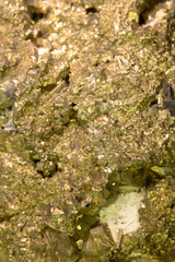 Close Up of Fools Gold Pyrite Rock Crystal 