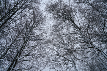 Winter with lots of snow in Bavaria is beautiful again every year