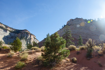 The Spectacular Zion National Park