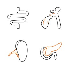 Set Of Universal Icons