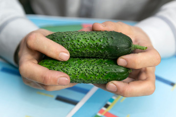 Farmer businessman considers profit and expenses of the harvest of cucumbers Hands with cucumbers...