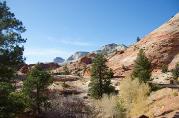 The Spectacular Zion National Park