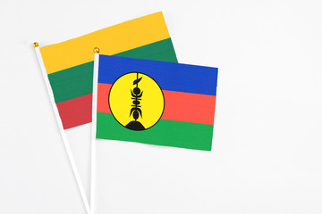 New Caledonia and Lithuania stick flags on white background. High quality fabric, miniature national flag. Peaceful global concept.White floor for copy space.