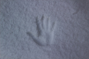 a Handprint in the snow
