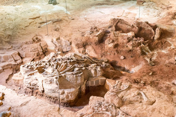 Dinosaur bone excavation area.