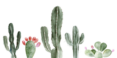 Set of watercolor cactus illustrations on white background in vector format. Hand drawing blooming plants set for office indoor. Blossom Mexican cactus from desert. - obrazy, fototapety, plakaty