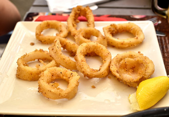 Roman squid,typical spanish tapas 