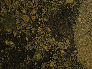 vue aérienne en top shot de matière de marais salé avec algues vertes