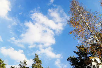 Clouds and blue sky background with copy space