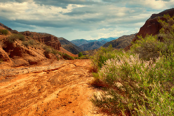 Fototapeta premium sandy desert of the red canyon Konorchek, in Kyrgyzstan
